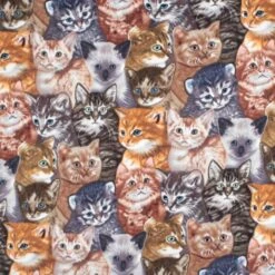 Kittens WinterFleece